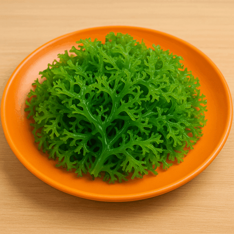 Fresh green Irish sea moss on an orange plate